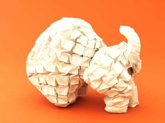 Reiser + Umemoto - Chihuahua