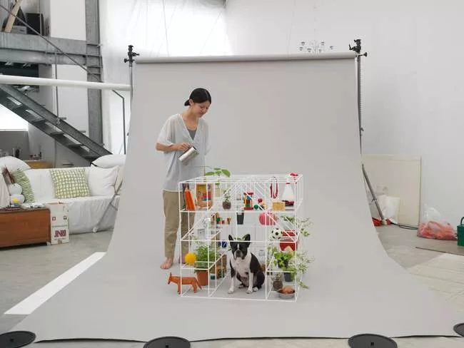 Sou Fujimoto - Boston Terrier