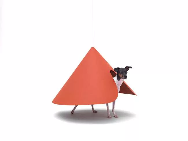 Hara Design Institute - Japanese Terrier