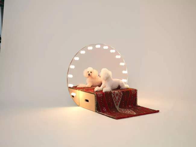 Konstantin Grcic - Poodle