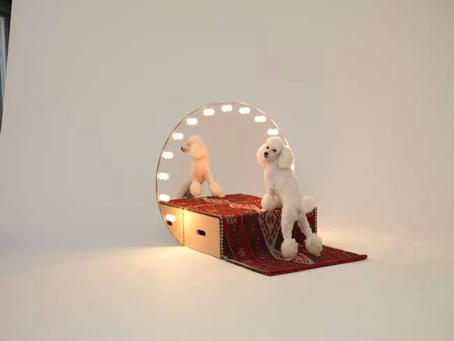 Konstantin Grcic - Poodle