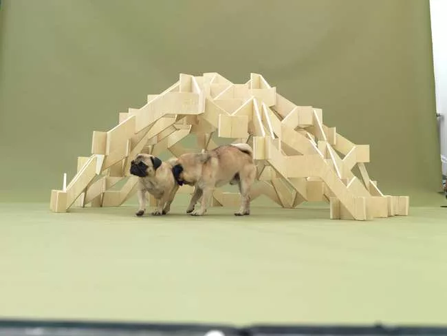 Kengo Kuma - Pug