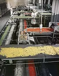 Lifesavers Factory<br />1956