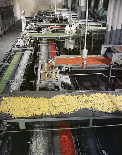 Lifesavers Factory<br />1956