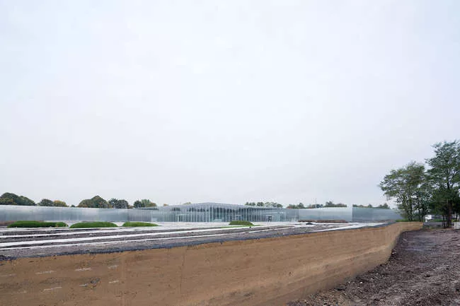 First Look at Louvre Lens