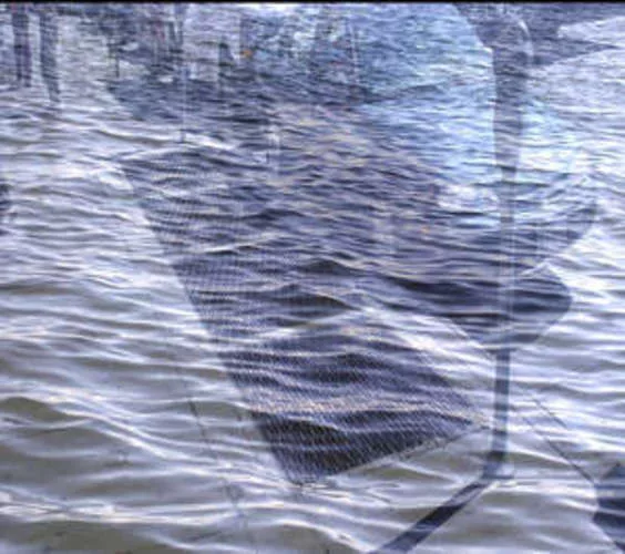 A downpour in August 2007 caused flooding in many New York City neighborhoods and subway tunnels—major transit lines were shut down for most of a day. Rogers Marvel Architects’ solution, c