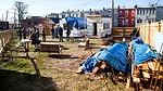 Tiny Houses on Display in D.C.