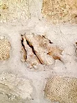The architect employed an updated version of traditional coral masonry to enclose courtyards among the new exhibition spaces.