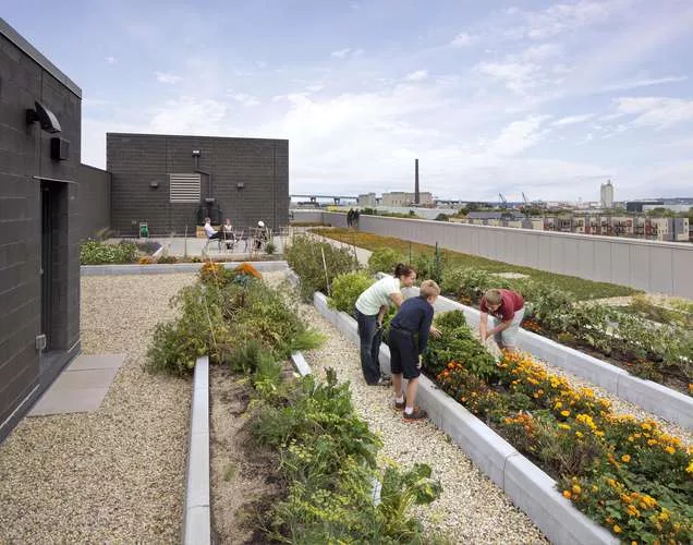 Clock Shadow Building<br />Continuum Architects + Planners<br />Milwaukee, Wisconsin