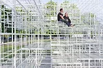 Serpentine Gallery Pavilion 2013