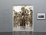 Ai Weiwei's <em>Bang</em> (seen through the doorway) and (right) Santu Mofokeng's print <em>Lake Funduzi, Venda (South Africa)</em>, 2011.