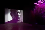 Installation view of 'Intercourses' at the Danish Pavilion by Jesper Just.<br />