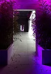 Installation view of 'Intercourses' at the Danish Pavilion by Jesper Just.<br />
