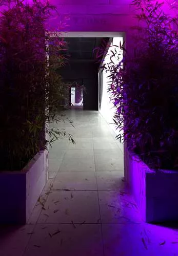 Installation view of 'Intercourses' at the Danish Pavilion by Jesper Just.<br />