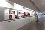 Installation view of <em>Colombia Transformed: Architecture=Politics</em>.