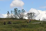 Schmul Park was reconstructed and opened in 2012. It will serve as a gateway to Staten Island’s Freshkills Park. A tree-lined promenade  will direct movement into the larger 2,200-acre park