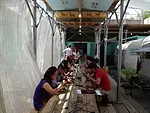 Students and guests have lunch following the mid-residency critique.