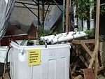The Colony's aquaponic garden.