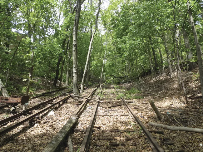 A photograph of the currently warped and weed-choked tracks where a new trail could be built.