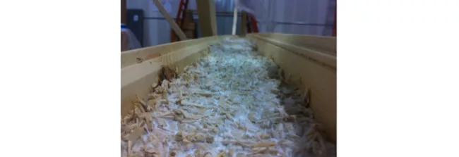 Ecovative - Mushroom Insulation