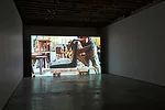 <em>Provenance</em><br /> Amie Siegel<br /> 2013<br /> HD video<br /> 40 min 30 sec. <br /> installation view, Simon Preston, New York
