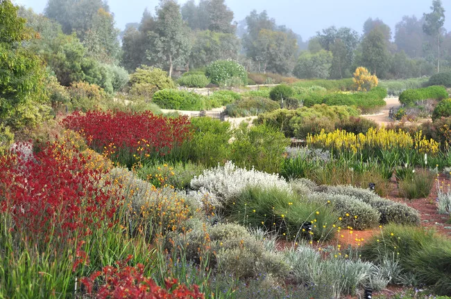 <p><strong>Landscape Project of the Year
</strong><br />Taylor Cullity Lethlean
<br />The Australian Garden
<br />Cranbourne, Australia</p>