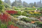 <p><strong>Landscape Project of the Year </strong><br />Taylor Cullity Lethlean <br />The Australian Garden <br />Cranbourne, Australia</p>