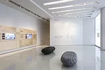 <em>Participatory City: 100 Urban Trends from the BMW Guggenheim Lab</em> installed at the Guggenheim Museum.