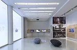 <em>Participatory City: 100 Urban Trends from the BMW Guggenheim Lab</em> installed at the Guggenheim Museum.<br />