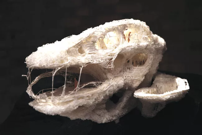 Prototype for a 3D Printed House (2012)<br />Softkill Design
