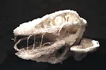 Prototype for a 3D Printed House (2012)<br />Softkill Design