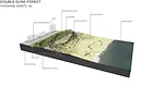Local Office Landscape Architecture proposed a coastal dune forest pilot project for Rockaway Beach. It would dissipate wave energy, stabilize the dunes, and protect the beach from damage.