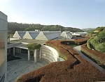 Founders Courtyard and Museum rooflines