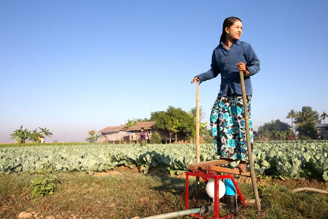 Proximity Design's 'Baby Buffalo' foot pump, designed with IDEO, allows farmers to push water up to a storage basket for later use, or attach it to a sprinkler hose.