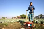 Proximity Design's 'Baby Buffalo' foot pump, designed with IDEO, allows  farmers to push water up to a storage basket for later use, or attach it  to a sprinkler hose.