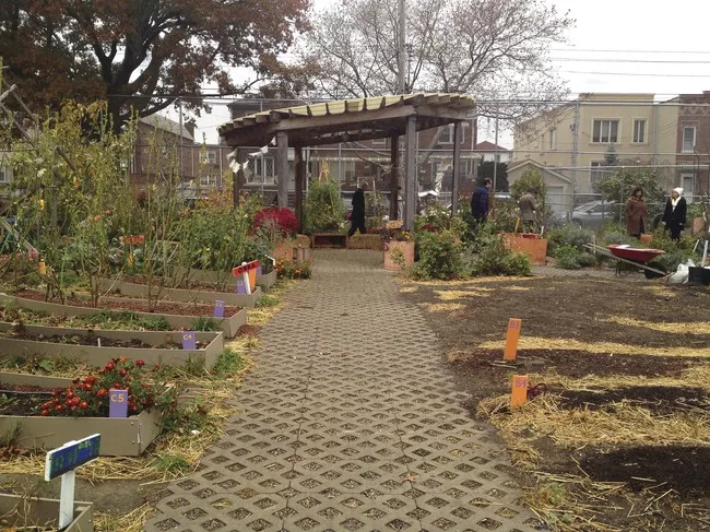 Edible Schoolyard at P.S. 216<br />WORKac<br />Gravesend, Brooklyn