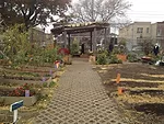 Edible Schoolyard at P.S. 216<br />WORKac<br />Gravesend, Brooklyn