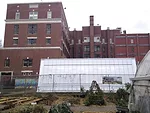 Edible Schoolyard at P.S. 216<br />WORKac<br />Gravesend, Brooklyn