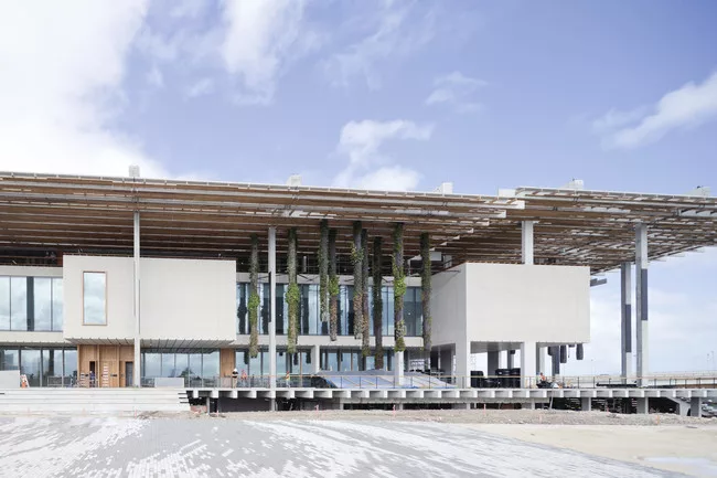 First Look: Herzog &amp; de Meuron's Perez Art Museum Miami