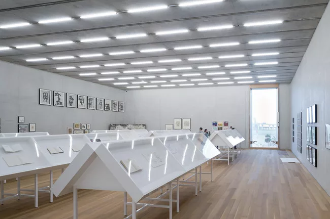 First Look: Herzog &amp; de Meuron's Perez Art Museum Miami