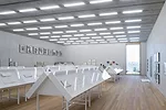 First Look: Herzog &amp; de Meuron's Perez Art Museum Miami
