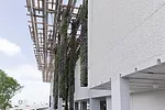 First Look: Herzog &amp; de Meuron's Perez Art Museum Miami