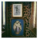 <em>Carlo Mollino #1</em>, 2004, Polaroid
