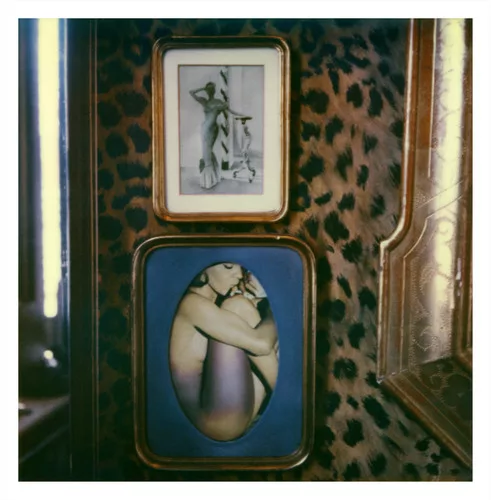 <em>Carlo Mollino #1</em>, 2004, Polaroid