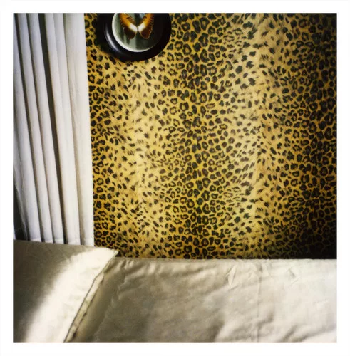 <em>Carlo Mollino #11</em>, 2004, Polaroid