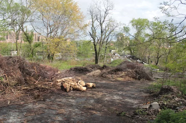 The site, which once boasted a boathouse, became an illegal  garbage dump. NYRP has been working for nearly two decades to green the  area.
