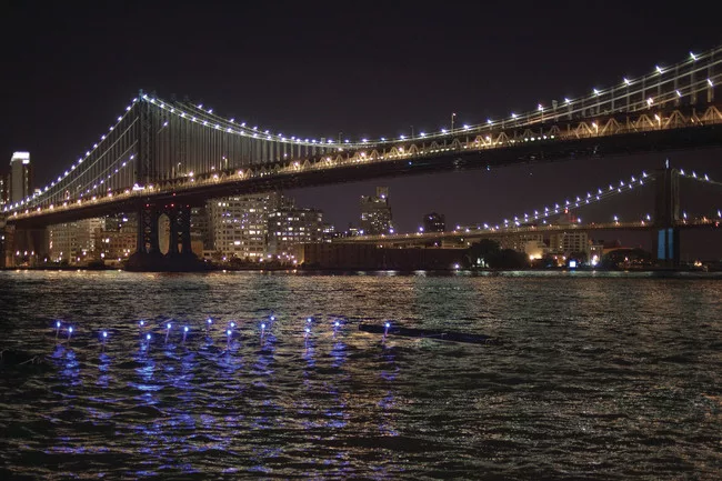 Eco Park at Pier 35, 2014 (expected)<br />The Living, in collaboration with SHoP, Natalie Jeremijenko, and the New York City Economic Development Corporation (NYCEDC)<br />New York City<br />The proje
