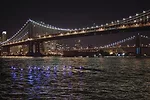 Eco Park at Pier 35, 2014 (expected)<br />The Living, in collaboration with SHoP, Natalie Jeremijenko, and the New York City Economic Development Corporation (NYCEDC)<br />New York City<br />The proje