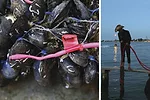Eco Park at Pier 35, 2014 (expected)<br />The Living, in collaboration with SHoP, Natalie Jeremijenko, and the New York City Economic Development Corporation (NYCEDC)<br />New York City<br />The proje