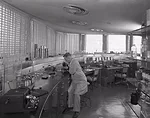 Some chemists found Wright’s “Helio-lab” (sun lab) troublesome due to the sun’s heat and glare that was intensified by the glass-tube windows. Chemists were given sunglasses un